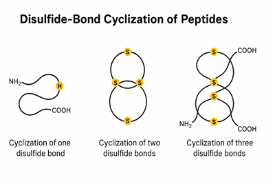 Diszulfid - A peptidek és az ICK struktúrák kötési ciklizációja